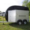 Bockmann Big Champion E WCF- Horse Trailer (Pre-owend)
