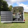 Bockmann Big Champion E WCF- Horse Trailer (Pre-owend)