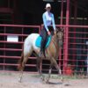 Caddo (Appaloosa Horse)