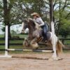 Dante (Appalossa Horse)