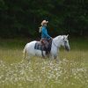 Mabel (Friesian Horse)