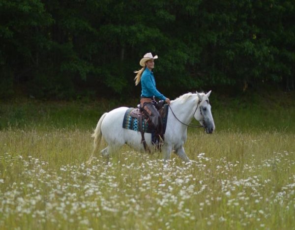 Mabel (Friesian Horse)