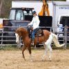 Cheeks (Paint Horse)