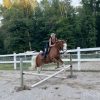 Cheeks (Paint Horse)
