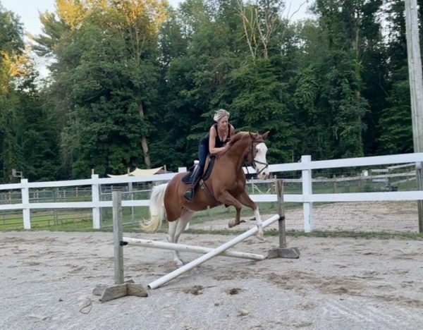 Cheeks (Paint Horse)
