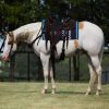 Milo (Paint Horse)