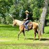 Dolly (Quarter Horse)