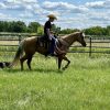 Dolly (Quarter Horse)