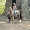 Applesauce (Quarter Horse)