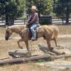 Applesauce (Quarter Horse)