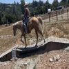 Applesauce (Quarter Horse)