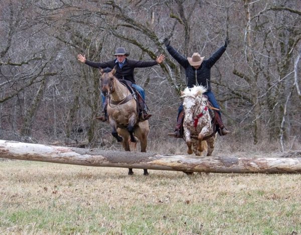 Skip King (Quarter Horse)