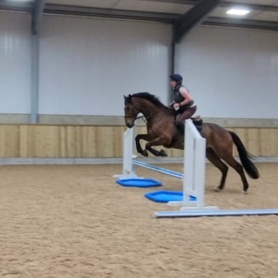Charlie (Thoroughbred Horse)