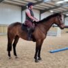 Charlie (Thoroughbred Horse)