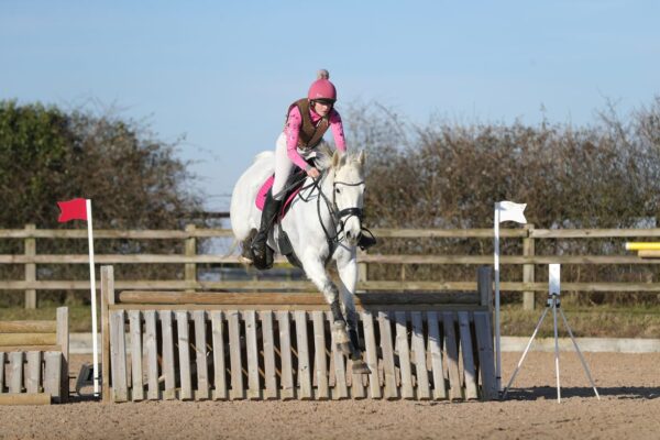 Belly (British Warmblood Horse)