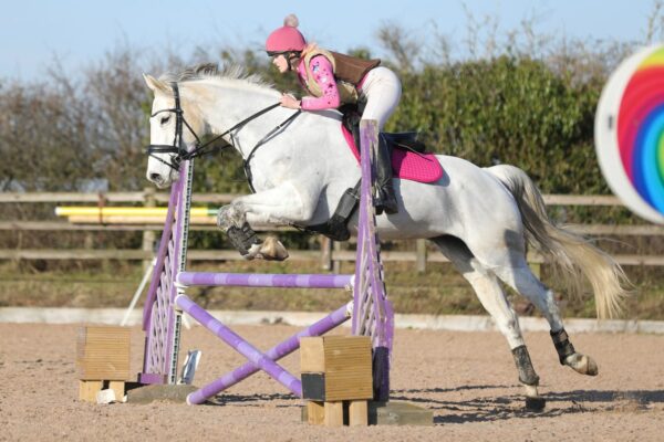 Belly (British Warmblood Horse)