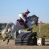 Belly (British Warmblood Horse)