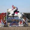 Belly (British Warmblood Horse)