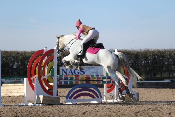 Belly (British Warmblood Horse)