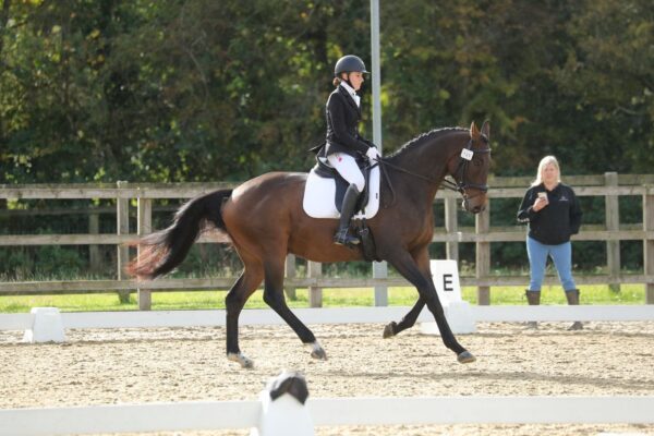 Flashy (Thoroughbred Horse)
